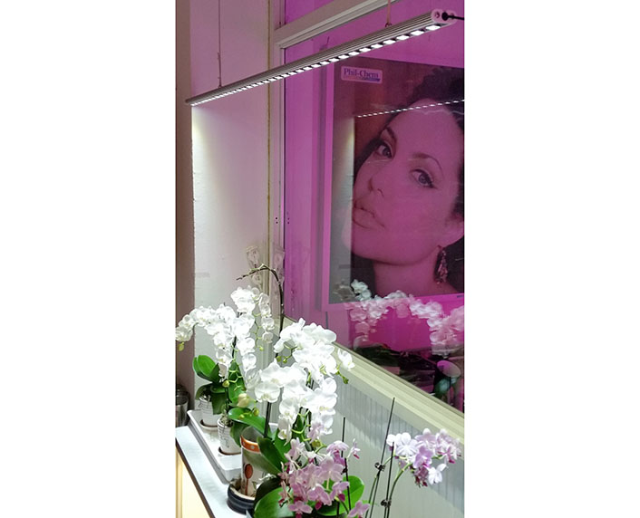 Lámparas diseñadas para iluminar plantas de interior 